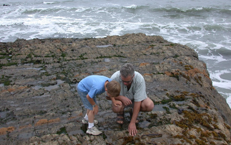 Tidepooling